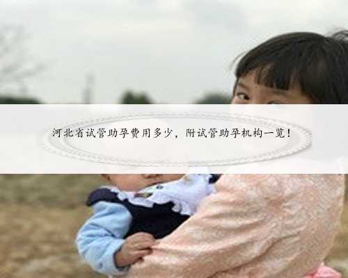 河北省试管助孕费用多少，附试管助孕机构一览！